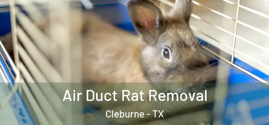 Air Duct Rat Removal Cleburne - TX