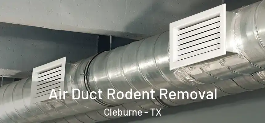 Air Duct Rodent Removal Cleburne - TX