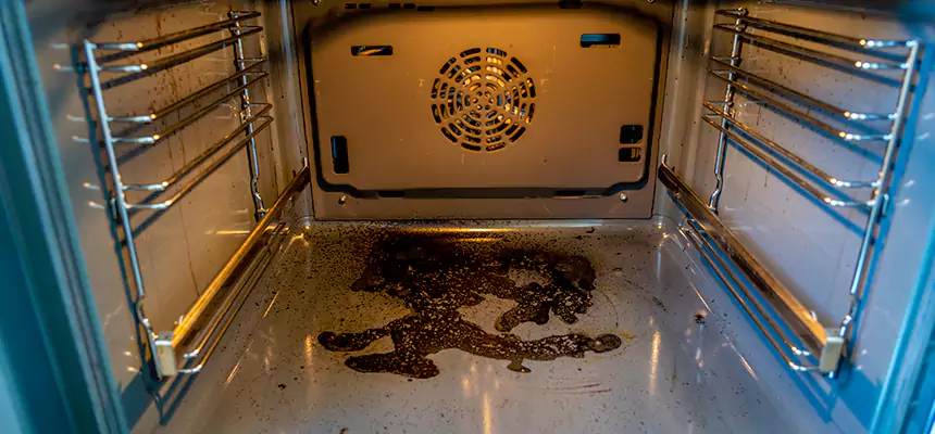 Our Dryer Vent Mold Cleaning Services in Cleburne, TX