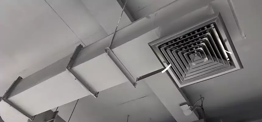 Our Pest Removal From Ducts Services in Cleburne, TX