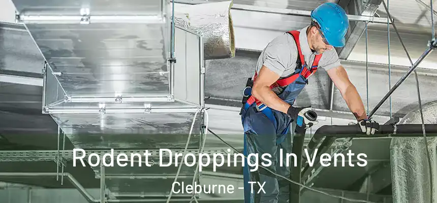 Rodent Droppings In Vents Cleburne - TX