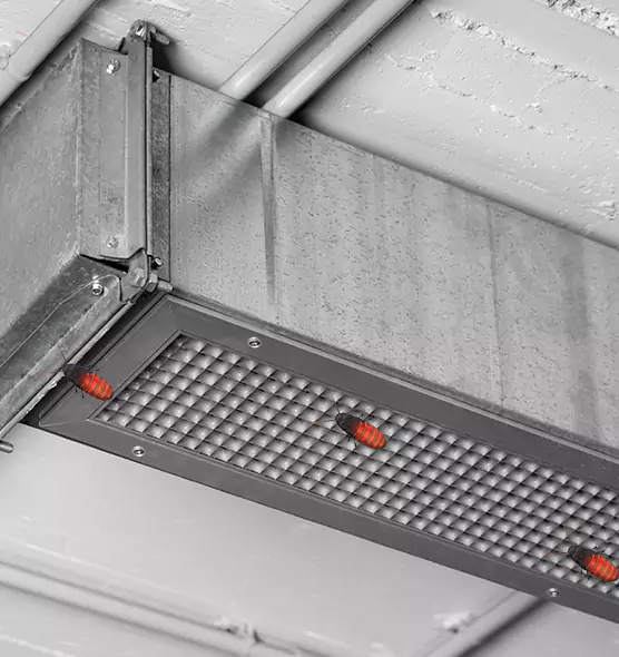 About Air Duct Cockroach Removal in Cleburne, TX