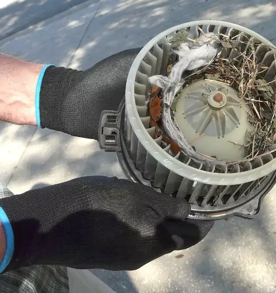 About Air Duct Mice Removal in Cleburne, TX