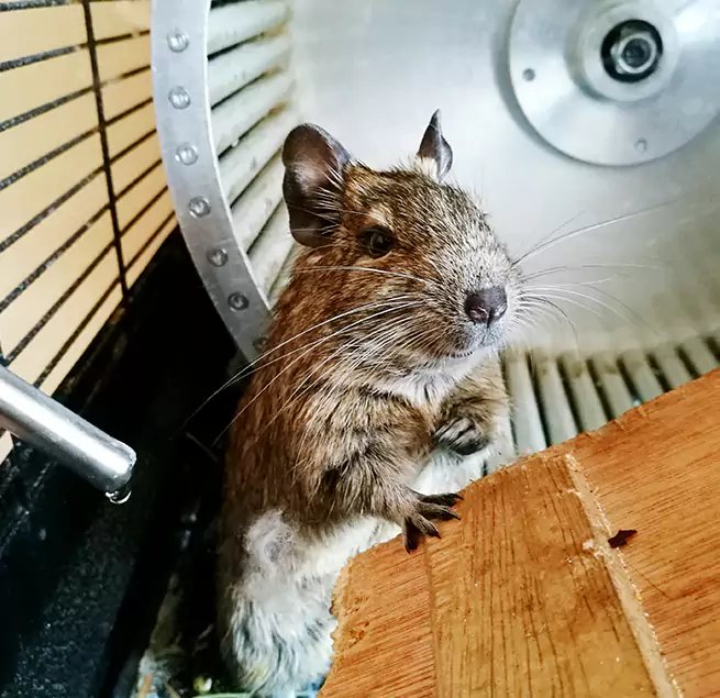 Why Homeowners & Businesses Trust Us Cleburne, TX