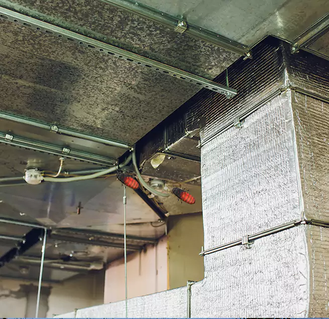 Why Homeowners & Businesses Trust Us Cleburne, TX?