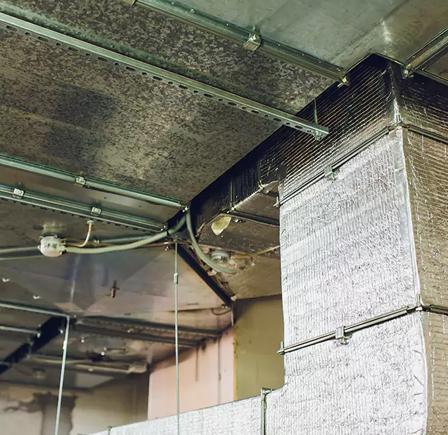 Why Homeowners & Businesses Trust Us in Cleburne, TX?